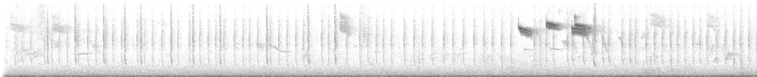 Allen's Hummingbird - ML641190471