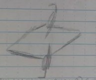 Double-crested Cormorant - ML641191970