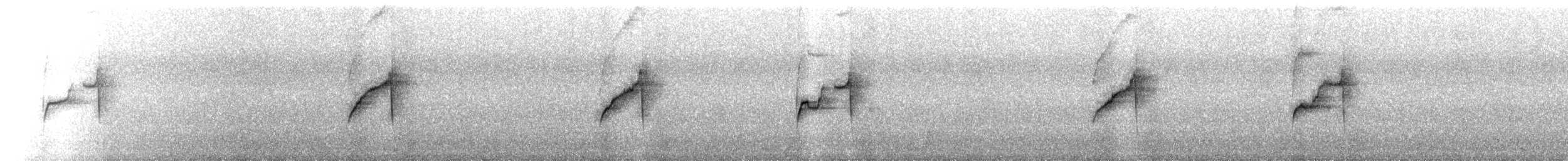 Gray-bellied Spinetail - ML641192779