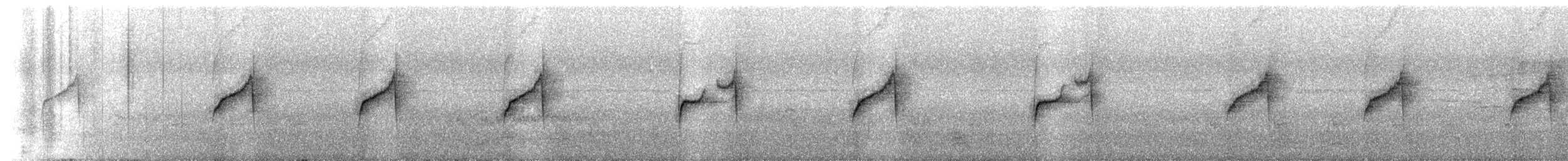Gray-bellied Spinetail - ML641192937