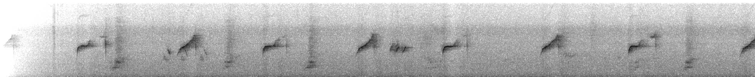 Gray-bellied Spinetail - ML641193018