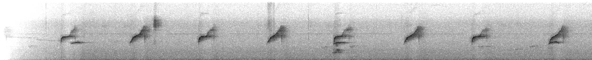 Gray-bellied Spinetail - ML641193068