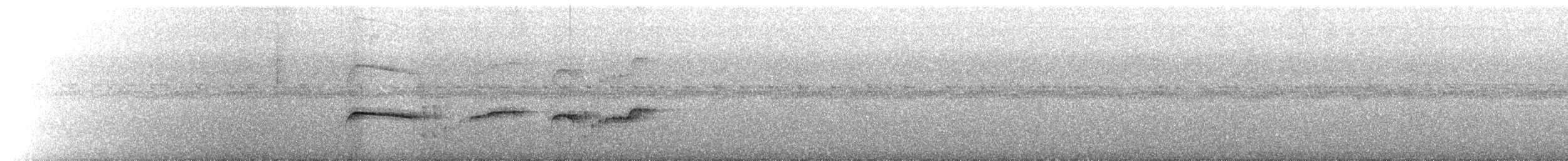 Southern Antpipit - ML641193356