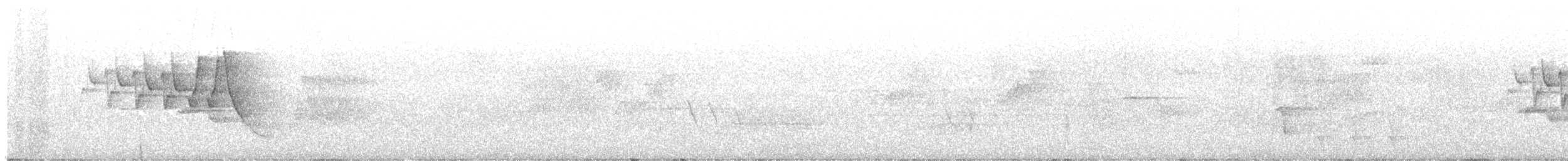 Chestnut-sided Warbler - ML641193995