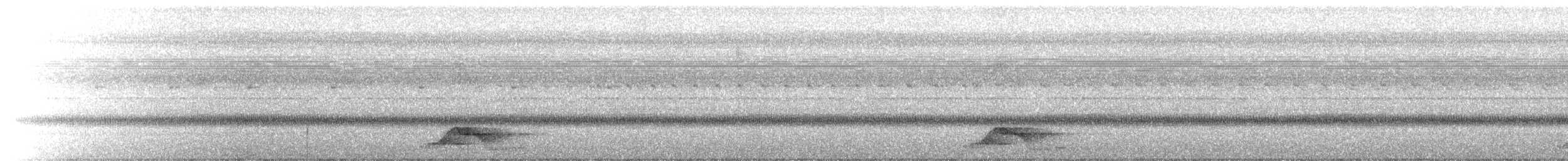 Common Pauraque - ML641194544