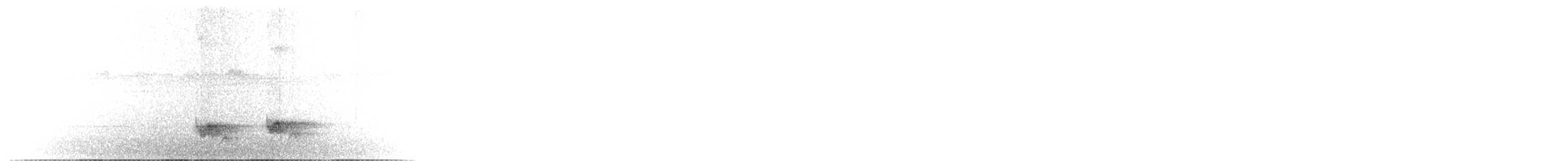 Swallow-tailed Manakin - ML641195216