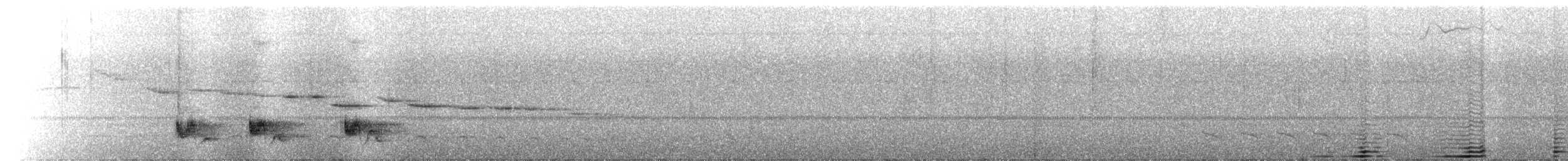 Swallow-tailed Manakin - ML641195717