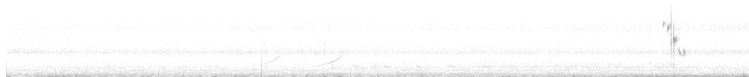 Henslow's Sparrow - ML641201654