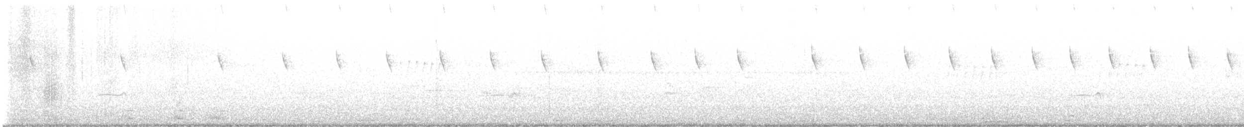 Scintillant Hummingbird - ML641202824