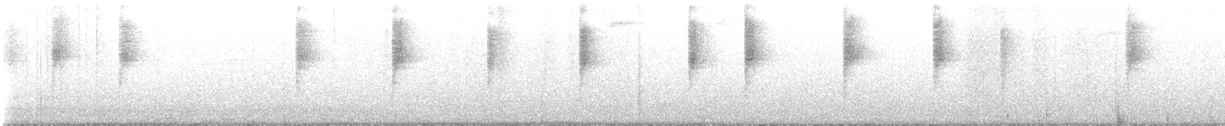 Stripe-tailed Hummingbird - ML641202940