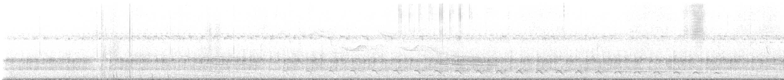 Great Antshrike - ML641204183