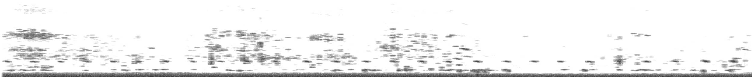 Piping Plover - ML641204356