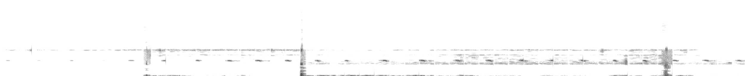 Piping Plover - ML641204357