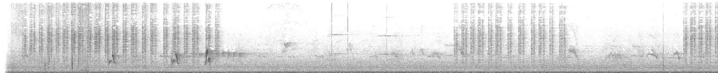 Willie-wagtail - ML641204678