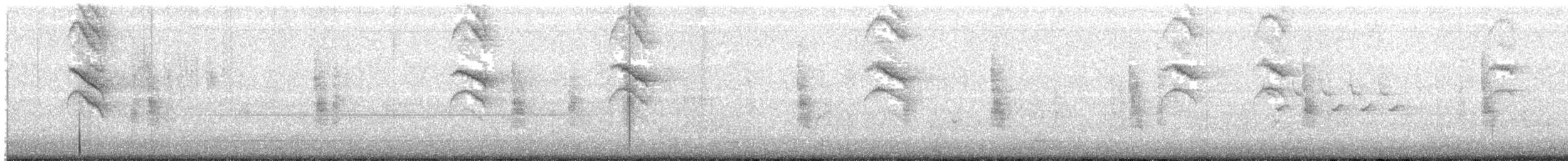 Bewick's Wren - ML641205004