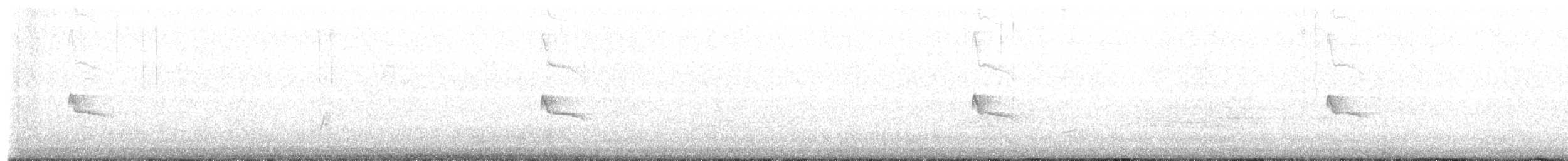 Black Phoebe - ML641205045