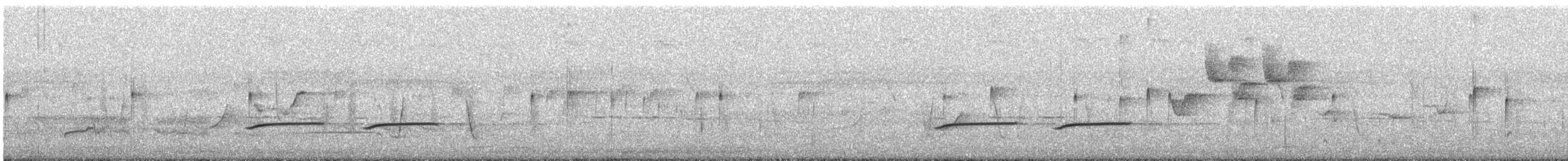 Little Grassbird - ML641209692