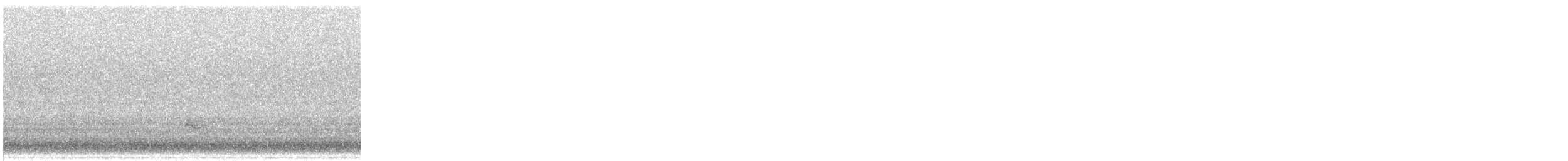 Paseriforme sp. - ML641211453
