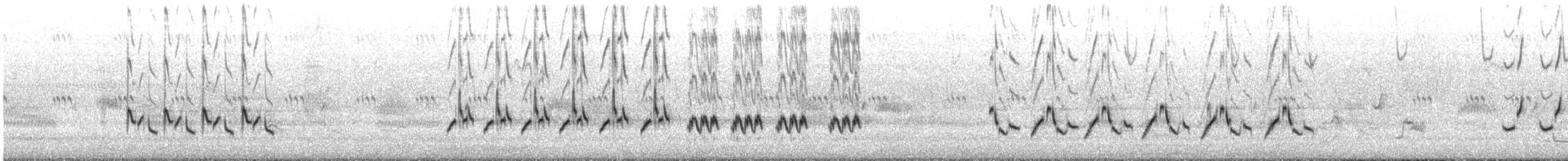 Northern Mockingbird - ML641212925