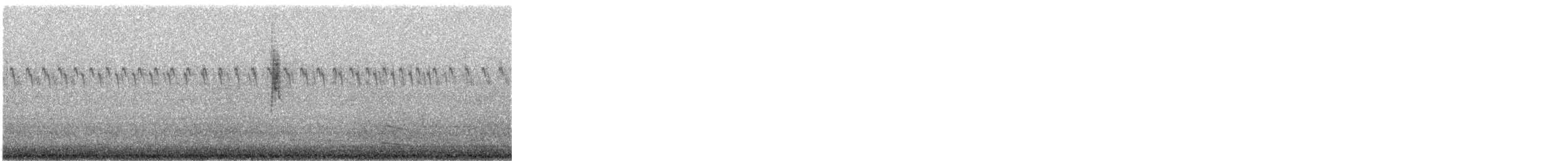 Wilson's Warbler - ML641213212