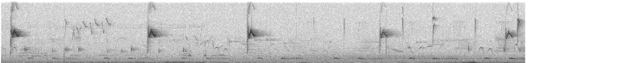 Cape Wagtail - ML641213975