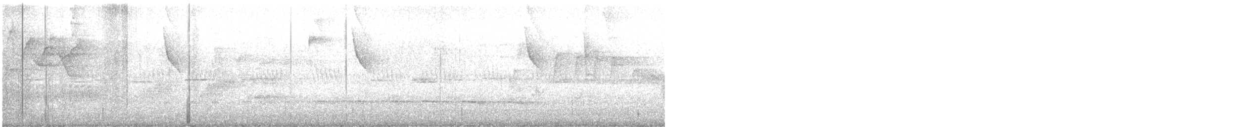 White-shouldered Fire-eye - ML641215493