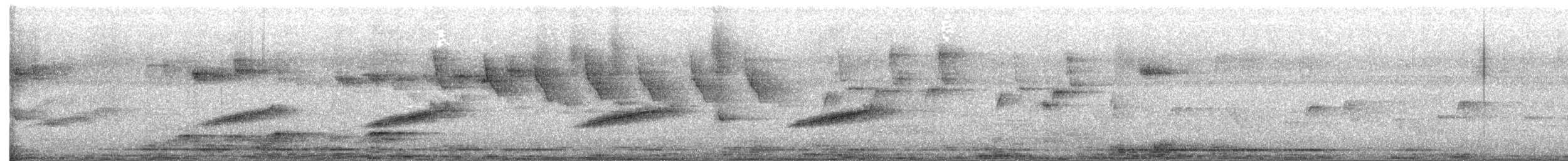 Noisy Pitta - ML641215675