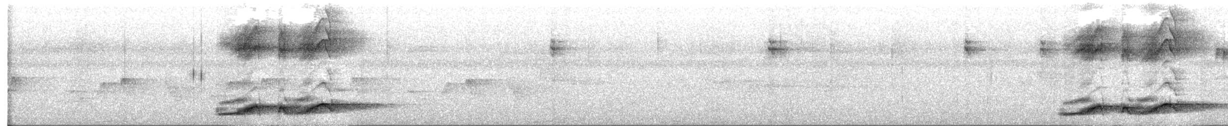 Noisy Pitta - ML641215676