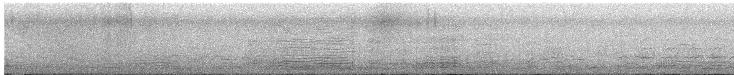 Pelagic Cormorant - ML641215930