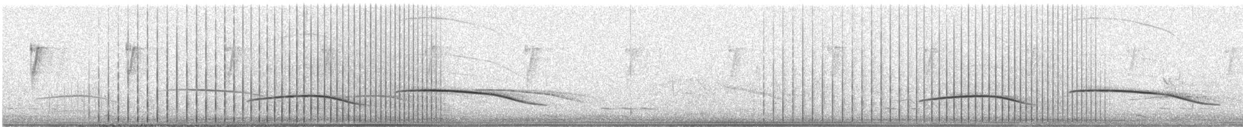Alondra Aplaudidora de El Cabo (marjoriae) - ML641216092