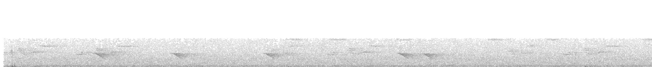 Black-chested Jay - ML641216753