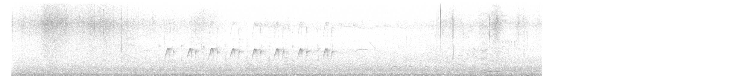 Des Murs's Wiretail - ML641221581