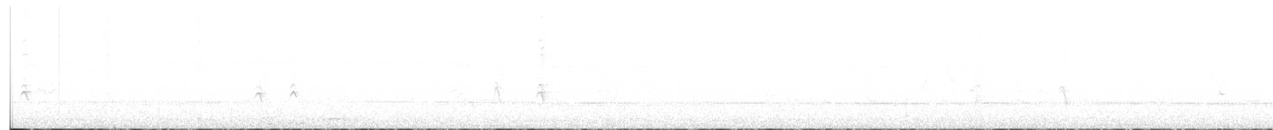 House Finch - ML641222233