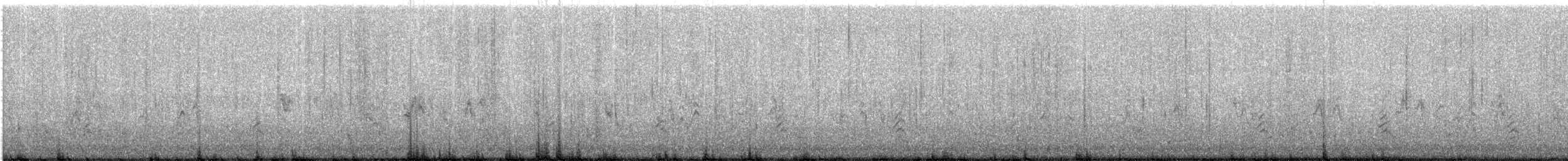 Black Skimmer - ML641223528