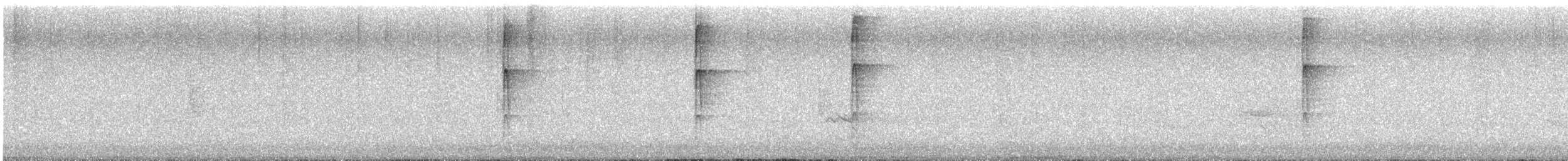 Downy Woodpecker - ML641224799