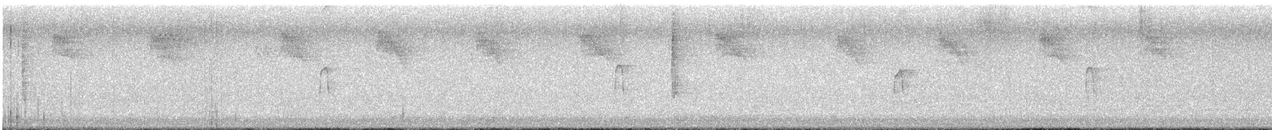 Hairy Woodpecker - ML641224807