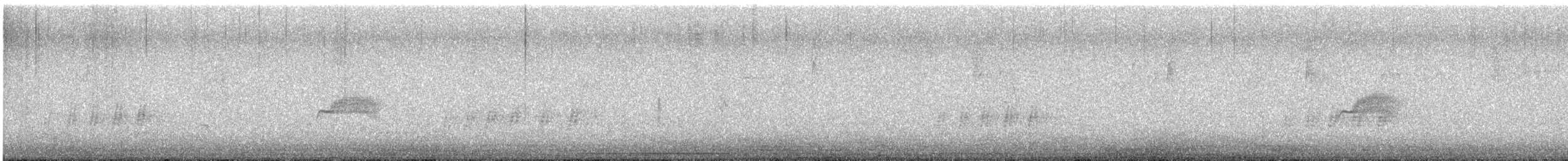 Western Wood-Pewee - ML641224817