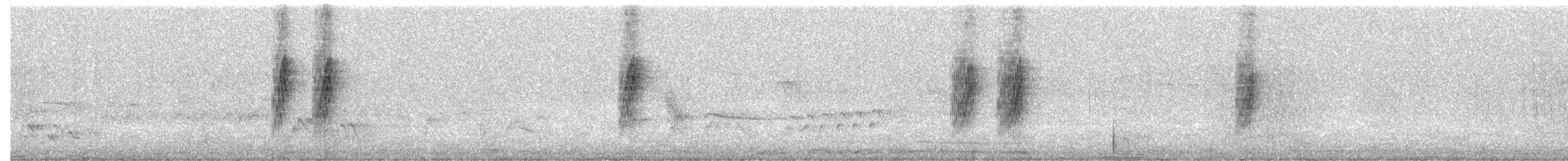 Ashy Flycatcher - ML641225055