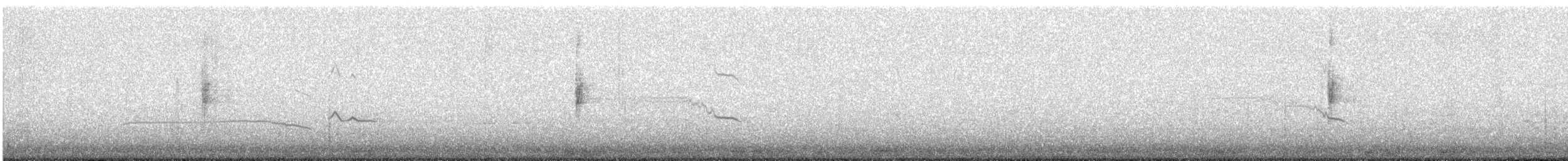 Northern Waterthrush - ML641225310