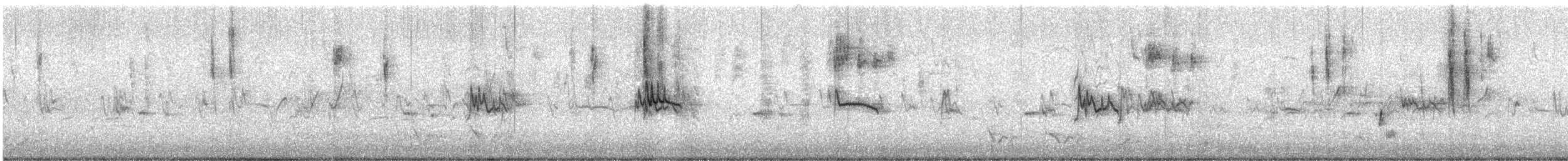 Acanthize nain - ML641228812