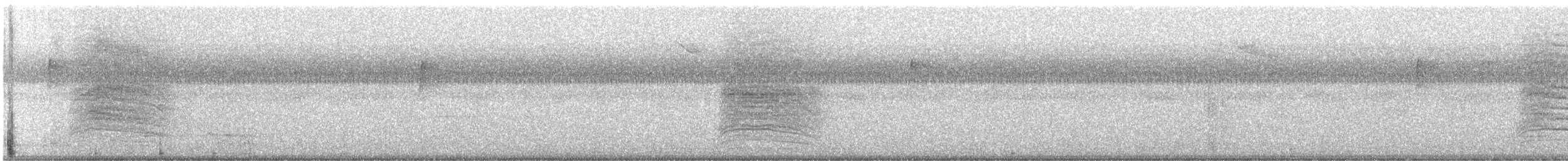 Katzenspottdrossel - ML641229171