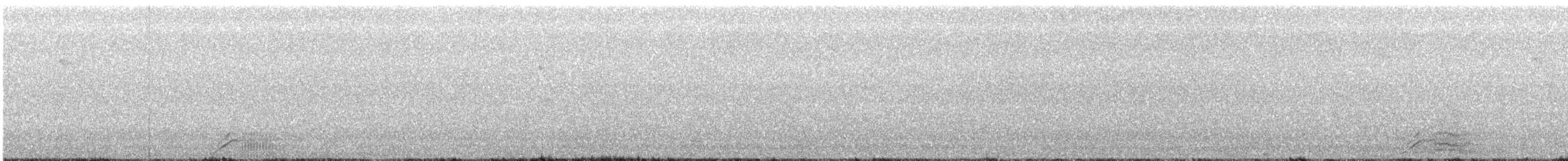 Beltxarga arrunta - ML641232344