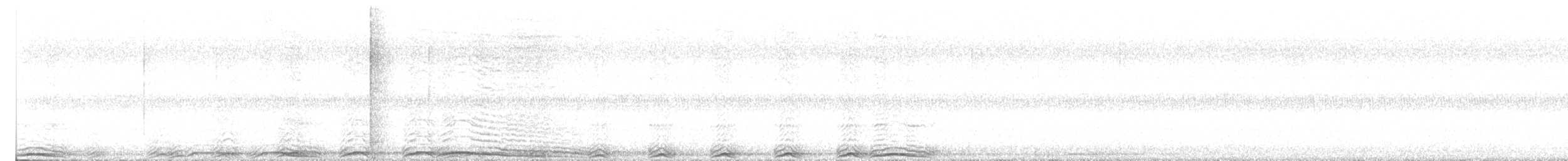 Barred Owl - ML641232573