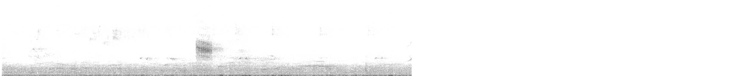 Lewin's Rail - ML641233865