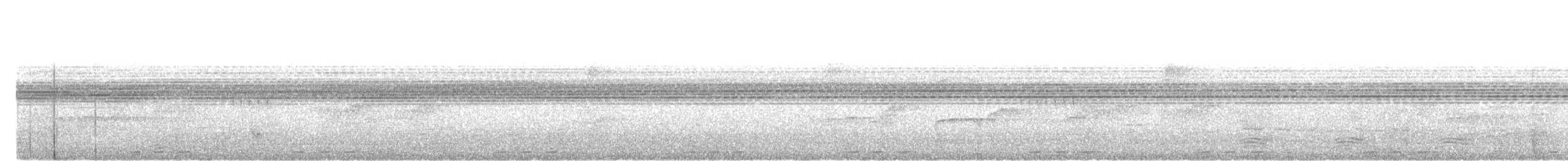barbet čárkovaný - ML641234951