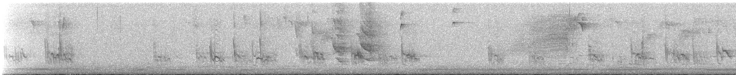 Caribbean Martin - ML641235630