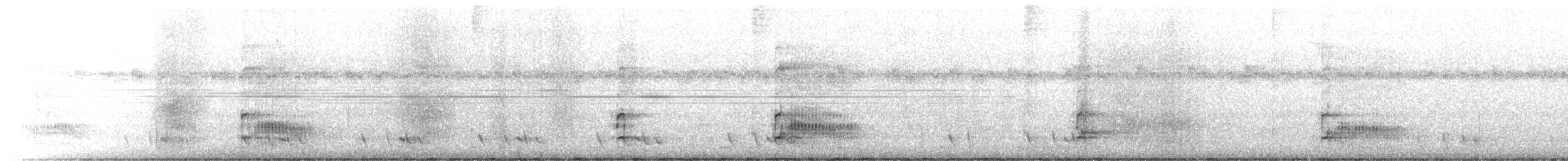 datel mravenčí - ML641236024