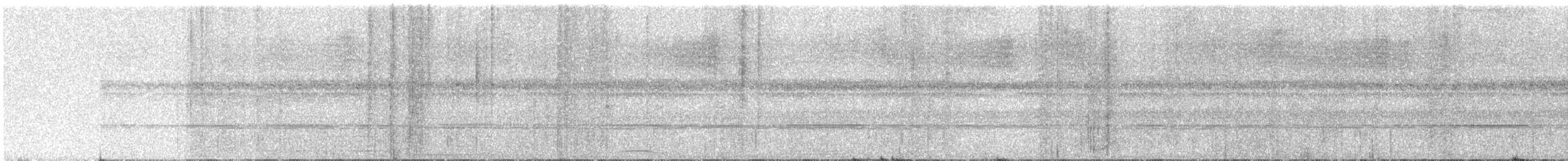 White-throated Spadebill - ML641238649