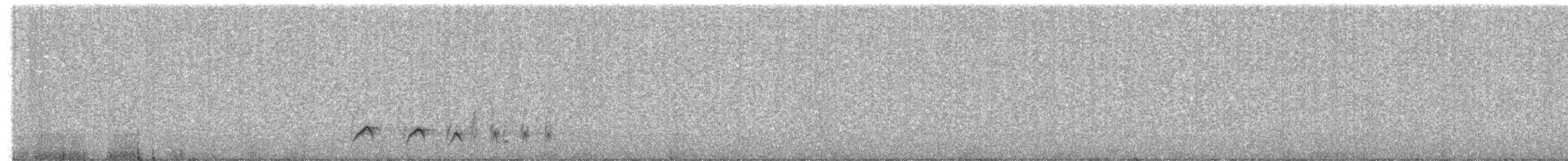 Hooded Robin - ML641241425