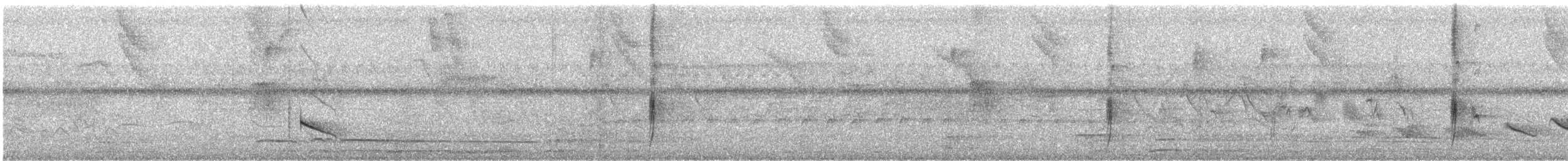 Large Elaenia - ML641241519